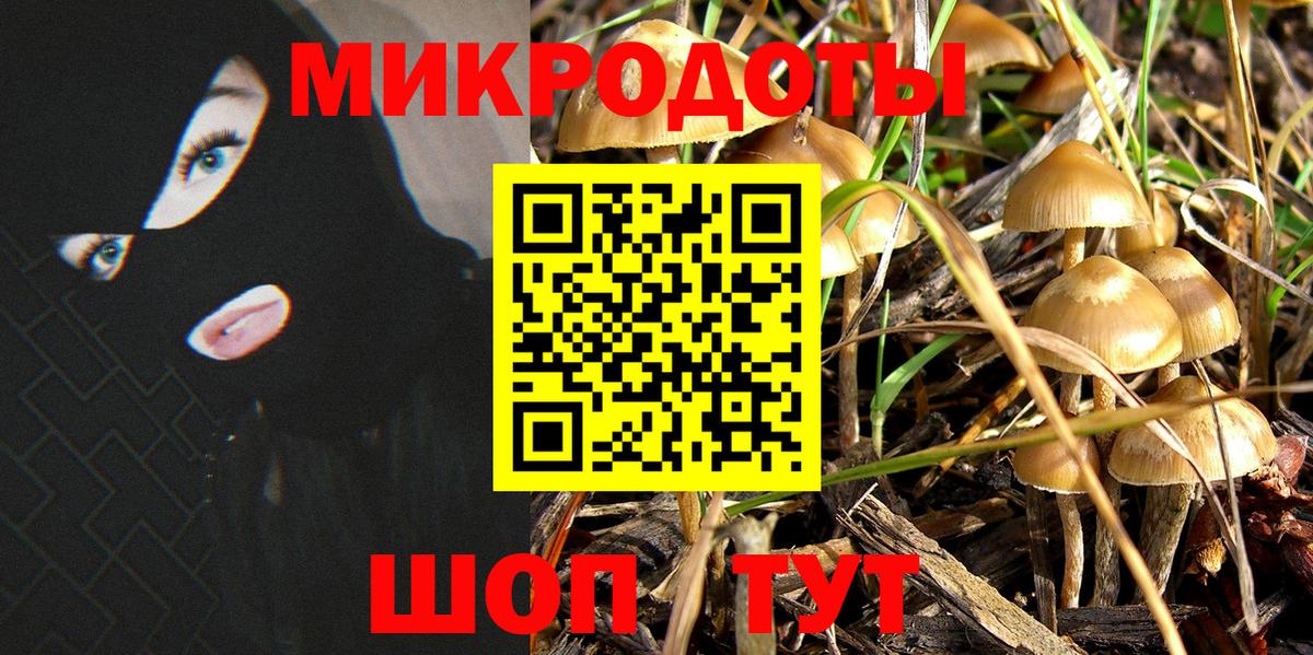Галлюциногенные грибы Psilocybe  Вход с VPN  Вязьма 