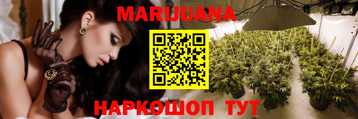 Каннабис Amnesia  Вход с VPN  Бошки марихуана тримм  Канабис ГИДРОПОН  МАРИХУАНА планчик  Вязьма 